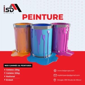 Peintures professionnelles — intérieur et extérieur